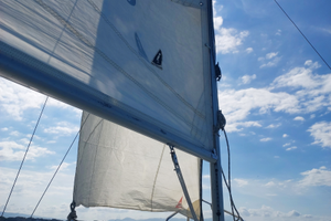 Promenade 79 cabinato leggero e versatile 5,6m