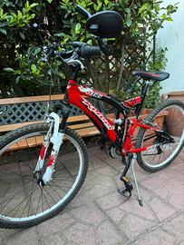 Mountain bike