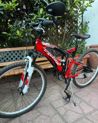Mountain bike