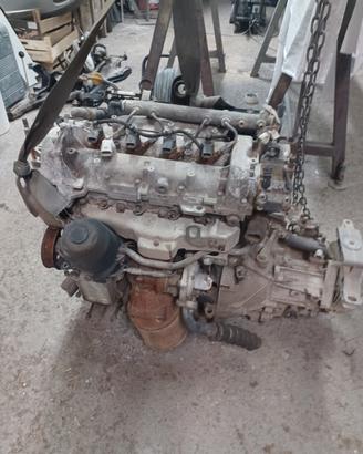 motore fiat panda 1300 multijet 