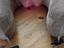 Immagine 3