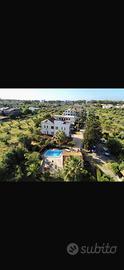 Appartamenti e bowngalow a 300 metri dal mare