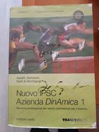 Nuovo ipsc azienda dinamica 1