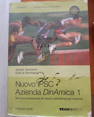 Nuovo ipsc azienda dinamica 1