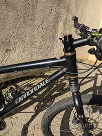 2007年モデル cannondale Fシリーズ caffeine taurine