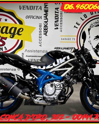 SUZUKI GLADIUS 650 SFV - 2010