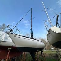 barca vela comet 801