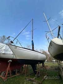 barca vela comet 801