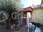 Immagine 16