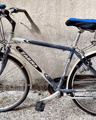 Bicicletta da città