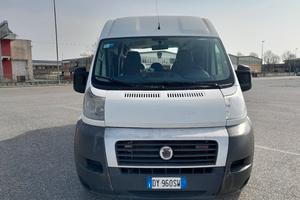fiat ducato 9 posti