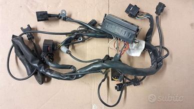 Cablaggio anteriore Ducati Sport Touring ST3