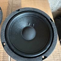 Altoparlanti ESB serie 5000