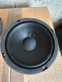 Altoparlanti ESB serie 5000
