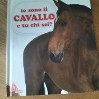 libro per bambini