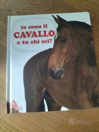 libro per bambini