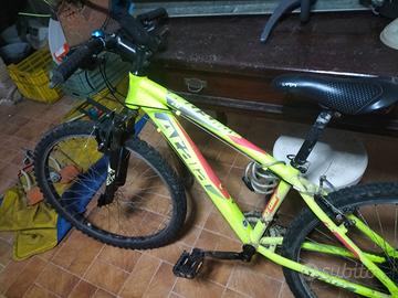 atala 16 e 26 poliici, modelli teddy e racer comp