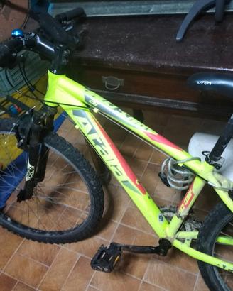 atala 16 e 26 poliici, modelli teddy e racer comp