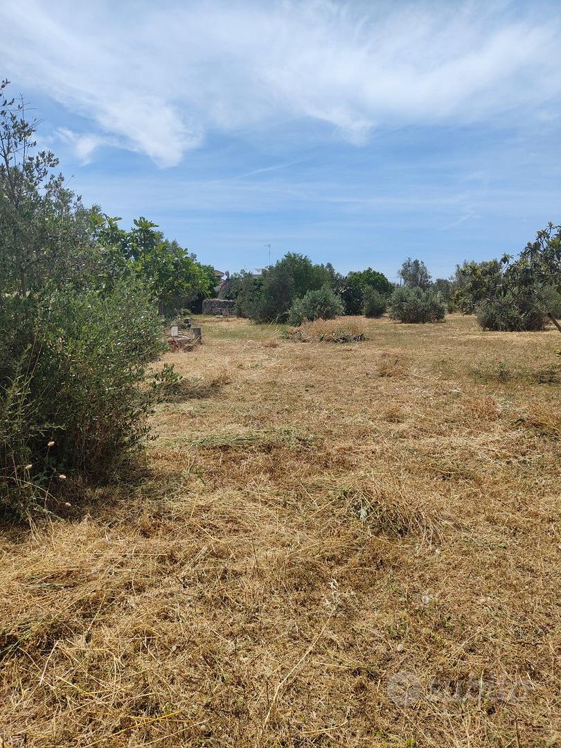 Terreno agricolo - Vista 5
