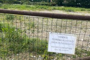 Terreno agricolo