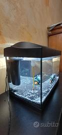 Acquario 30 litri completo
