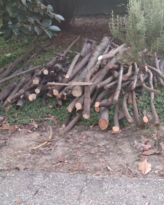 legna da ardere o per brace