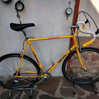 Bici corsa Temporin professional 