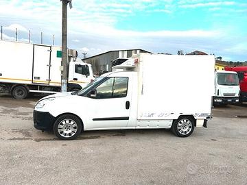 camion fiat doblo cella frigo -20