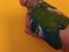 Immagine 3