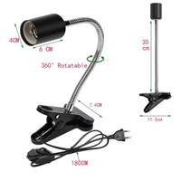 accessori  tartarughe dacqua