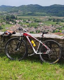 Mtb Lee Cougan Revenge 29”