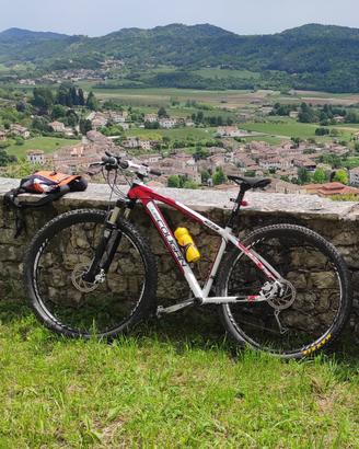 Mtb Lee Cougan Revenge 29”