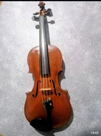 violino