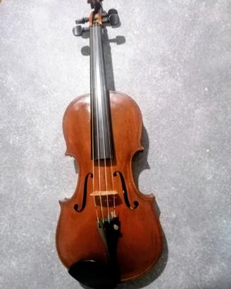 violino