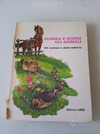 Guarda e scopri gli animali del Campo e Fattoria