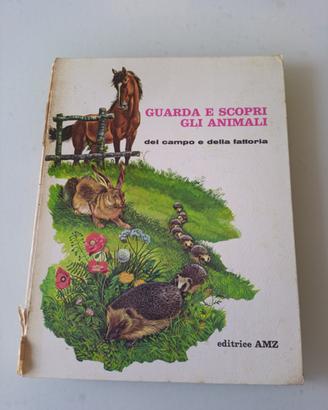 Guarda e scopri gli animali del Campo e Fattoria