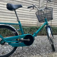 Bici pieghevole ruote del 20