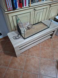 acquario per tartarughe