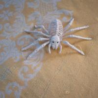 decorazione halloween ragno 