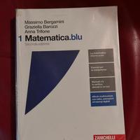 Libro Matematica Blu