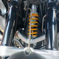 ohlins per  Bmw Gs