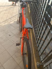 biciclette 