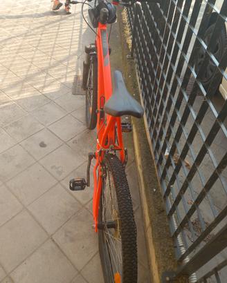 biciclette 