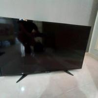 TV Bolva 