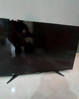 TV Bolva 