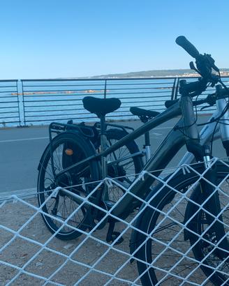 Cannondale Mavaro SL 2 neo e-citybike colore Green