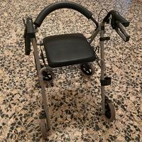 Carrello deambulazione