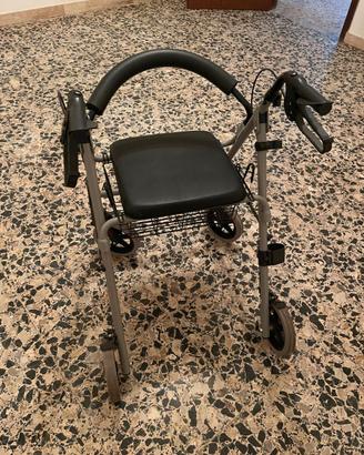 Carrello deambulazione