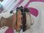 Immagine 4