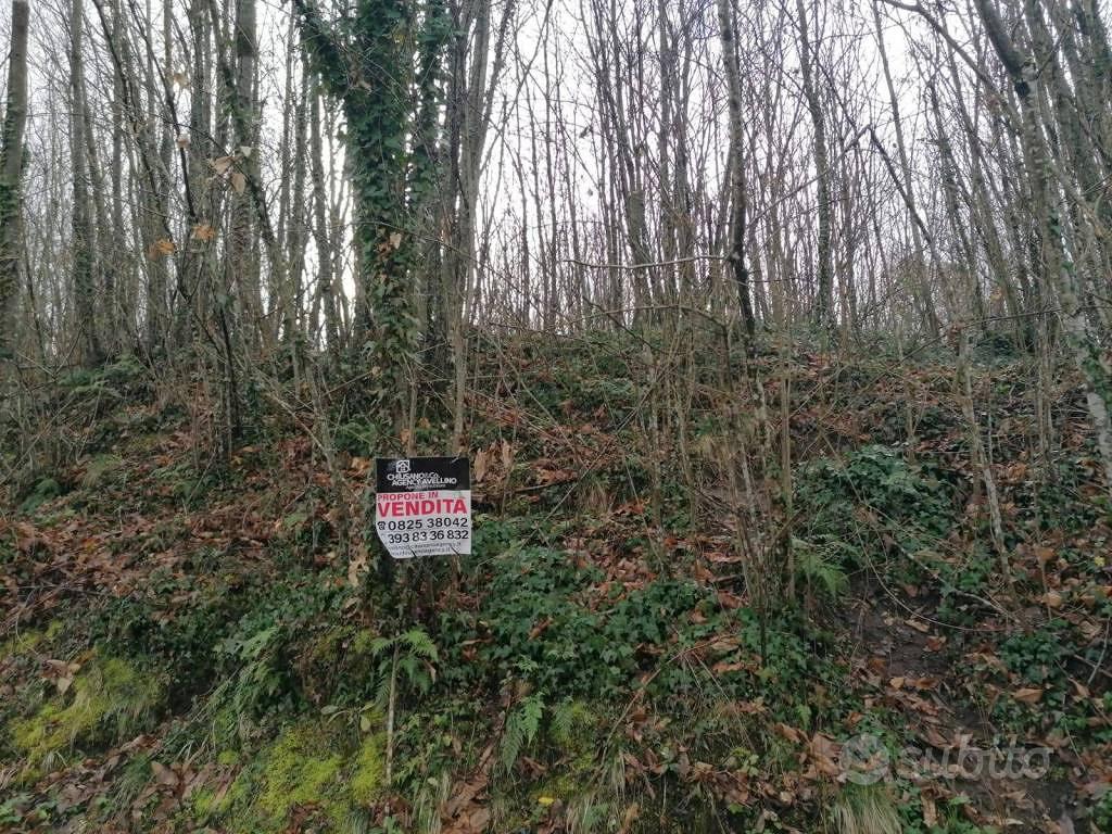 Terreno di 6600 m² a Aiello del Sabato - Vista 2